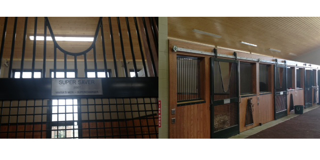 EPCO GFF Fixture Lights Largest Stallion Barn in North America